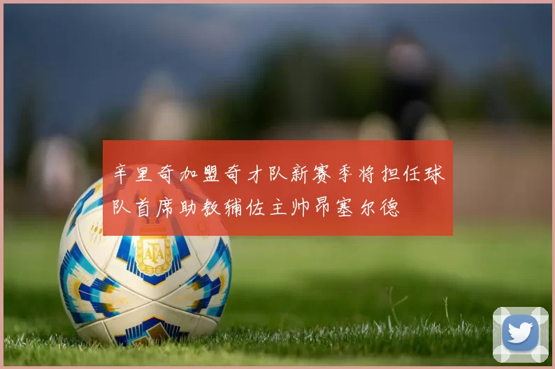 辛里奇加盟奇才队新赛季将担任球队首席助教辅佐主帅昂塞尔德