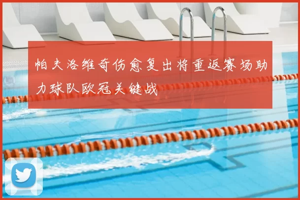 帕夫洛维奇伤愈复出将重返赛场助力球队欧冠关键战